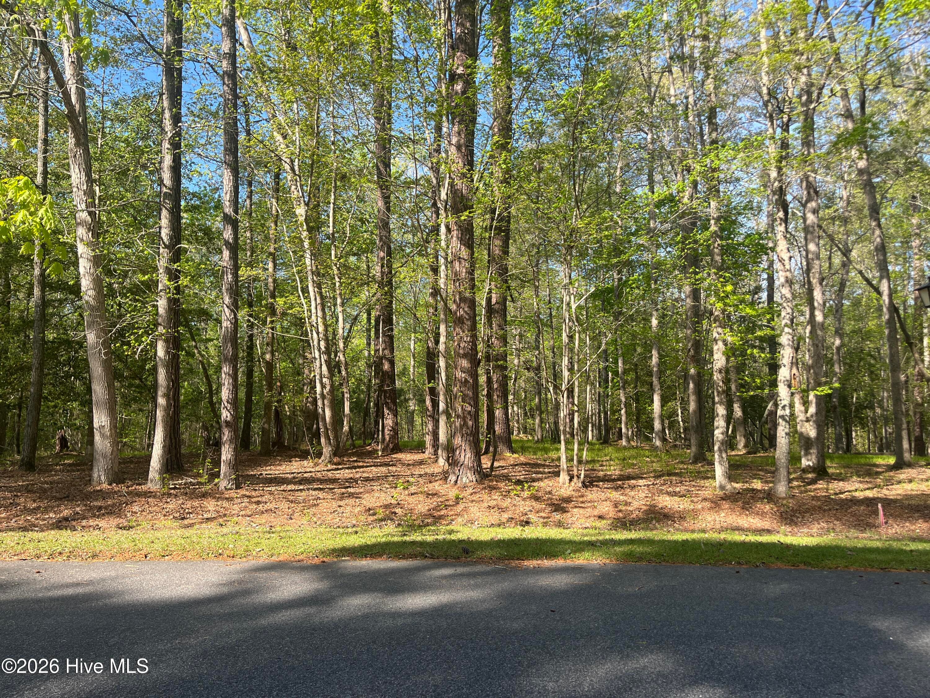 Street View - 0 2 Island Drive, Chocowinity, NC 27817