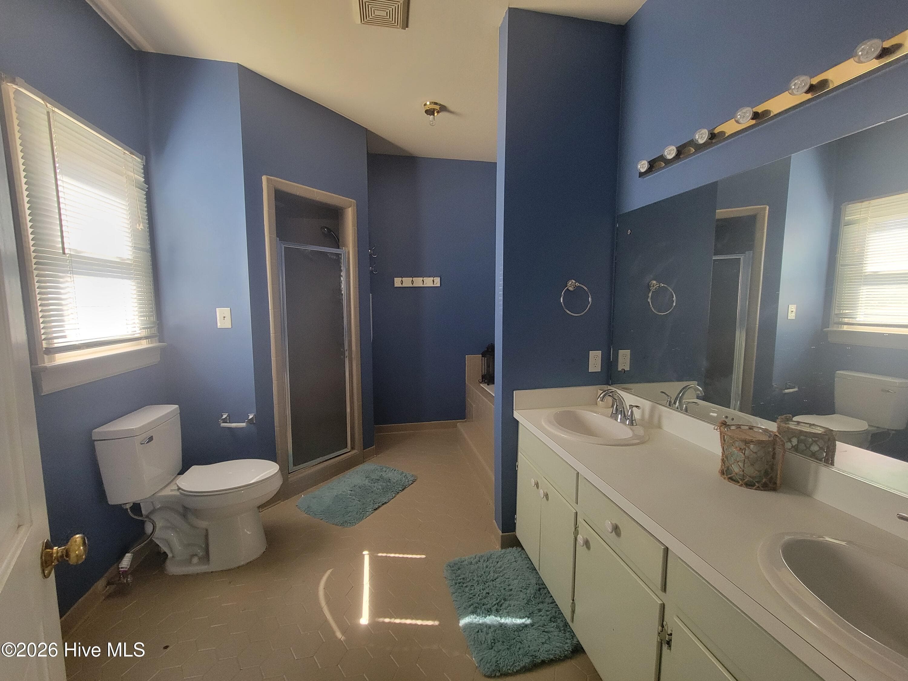 Primary bath 2 - 4511 Bobwhite Trail N, Wilson, NC 27896