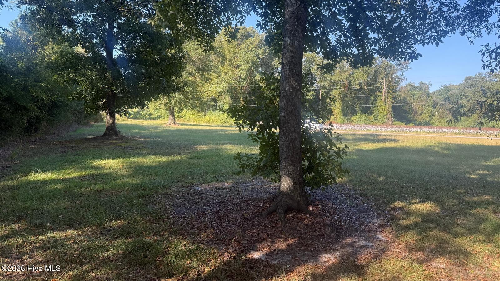 Undeveloped at 424 Huffmantown Road, Richlands, NC 28574, photo 4 of 6