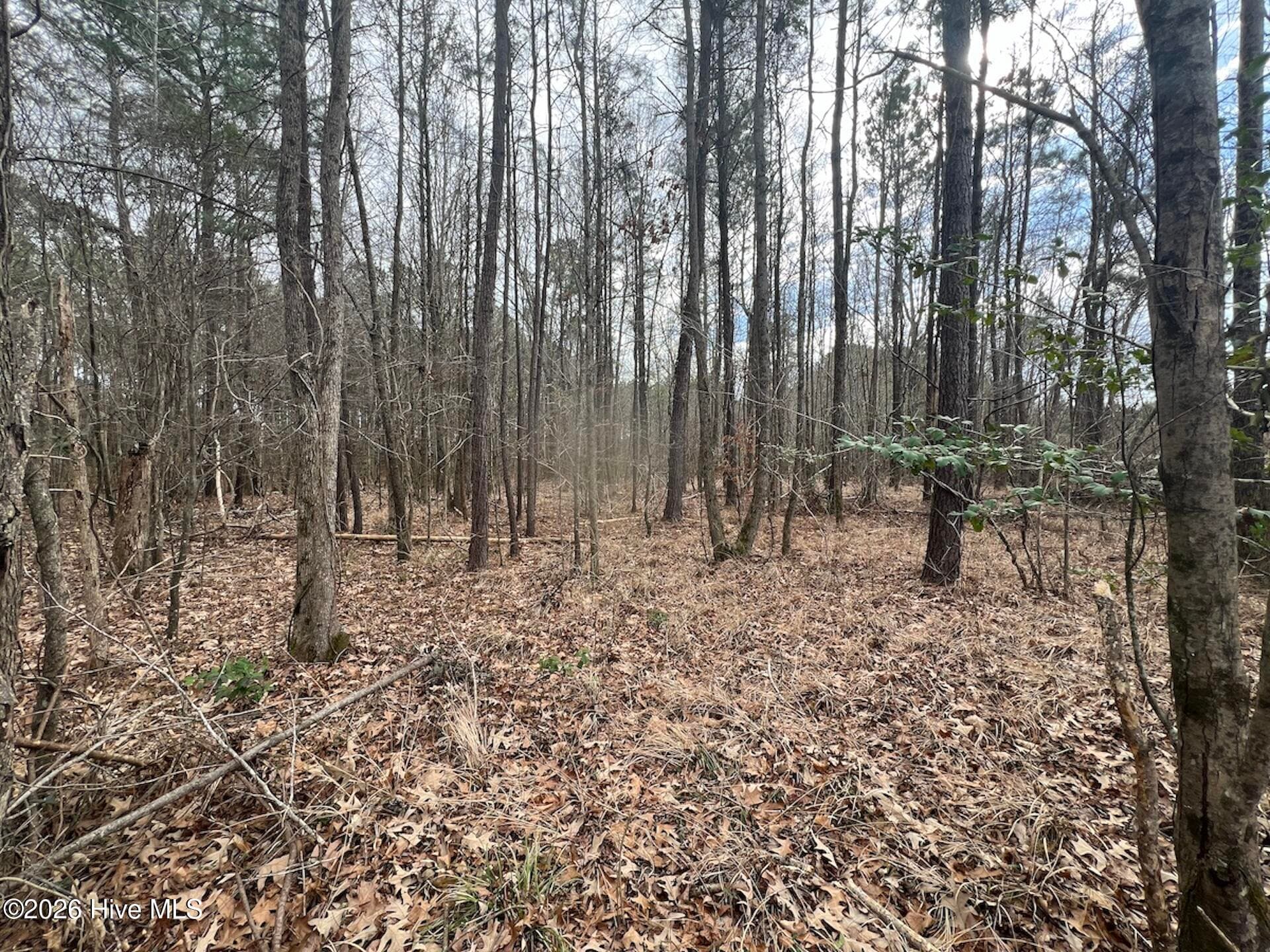 405 23 Batts Island Road, Edenton, NC 27932