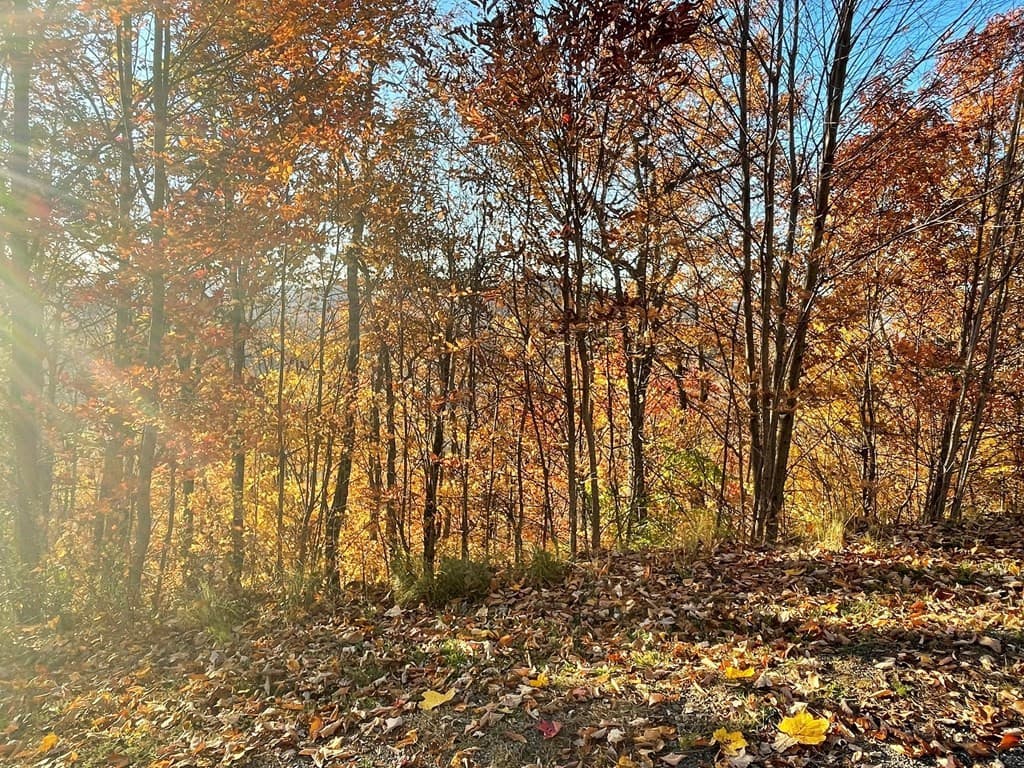 Residential Lot at Lot 58m 58M Ridges, Hayesville, NC 28904, photo 2 of 4
