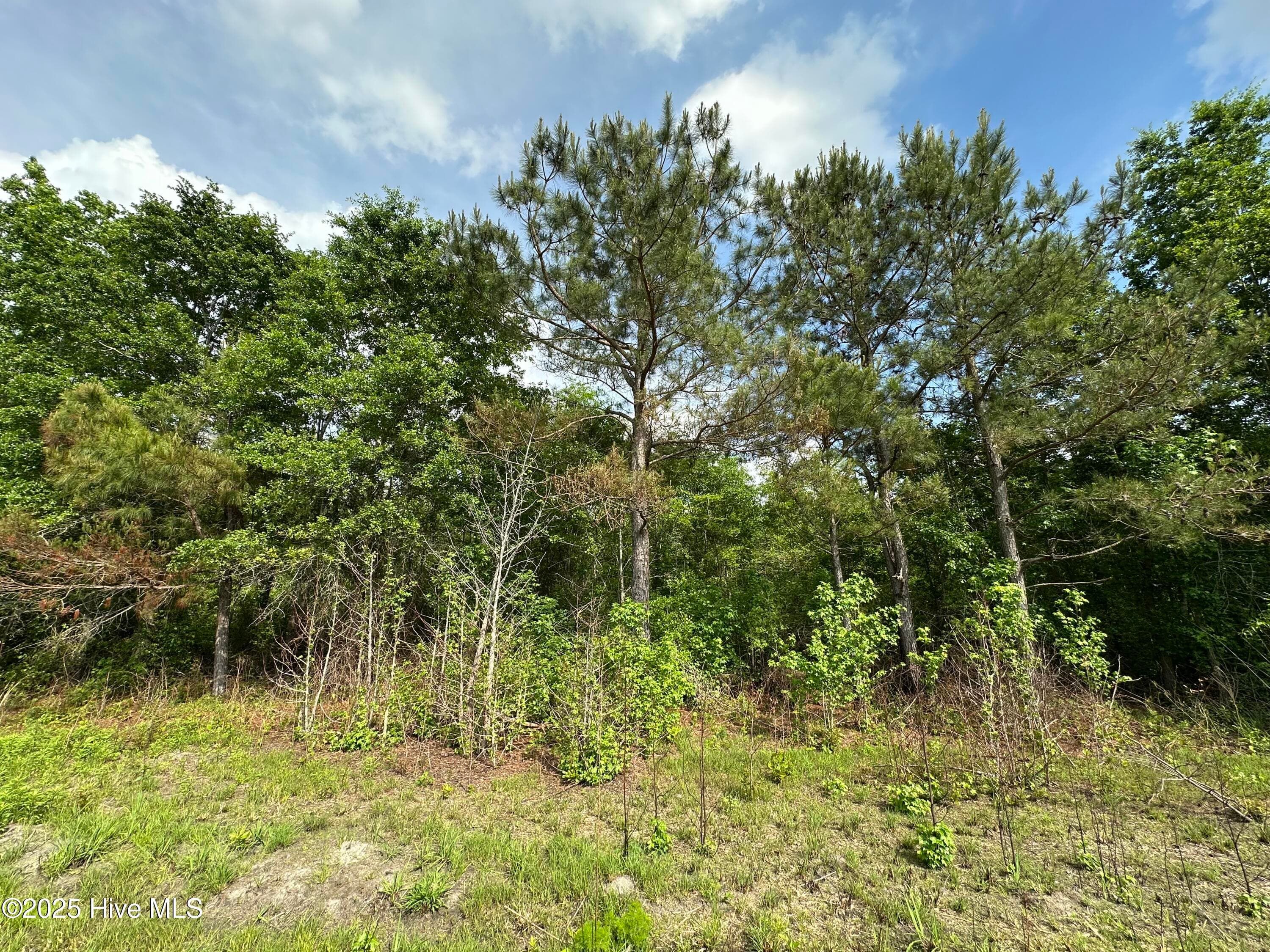 Undeveloped at Tract 2 Mcgirt Road, Maxton, NC 28364, photo 3 of 5