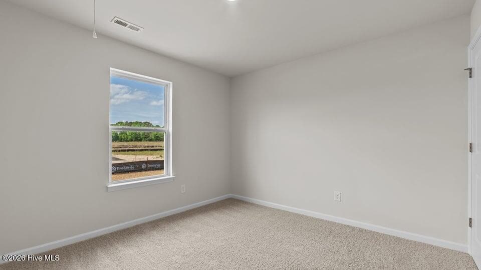 Single Family Residence at 132 Claude Street Lot 43, La Grange, NC 28551, photo 14 of 33