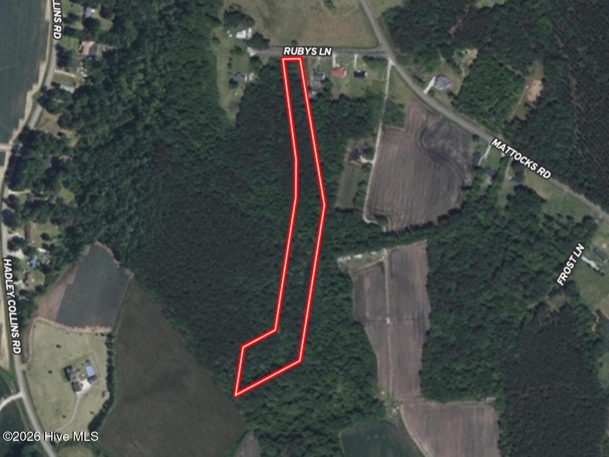 Undeveloped at 0 Ruby'S Lane, Maysville, NC 28555, photo 3 of 4