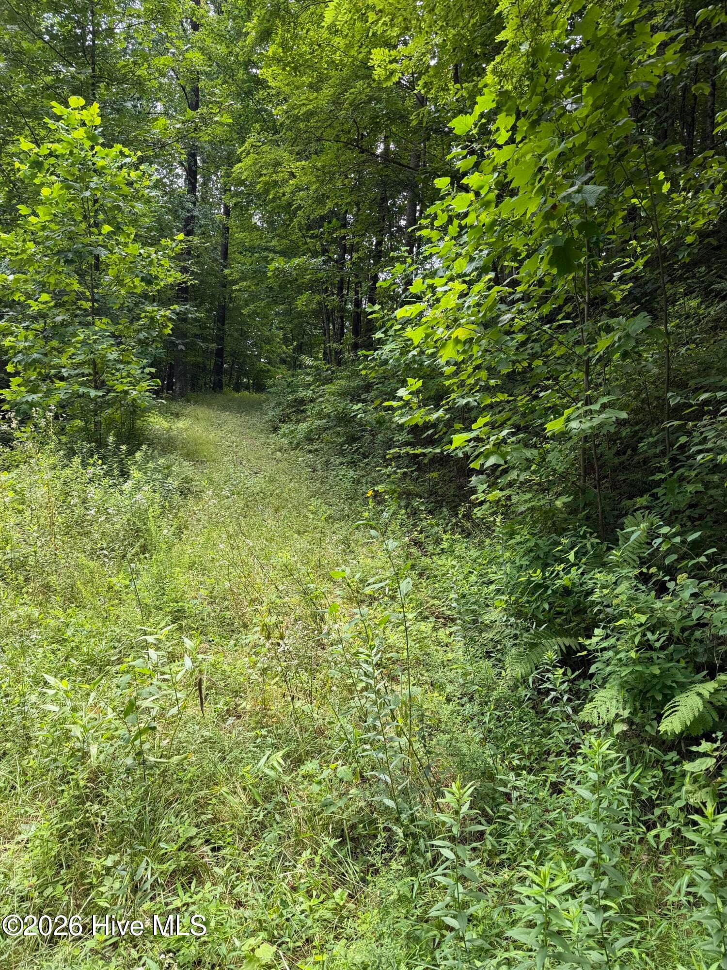 Lot 2 Outlook Road, Murphy, NC 28906