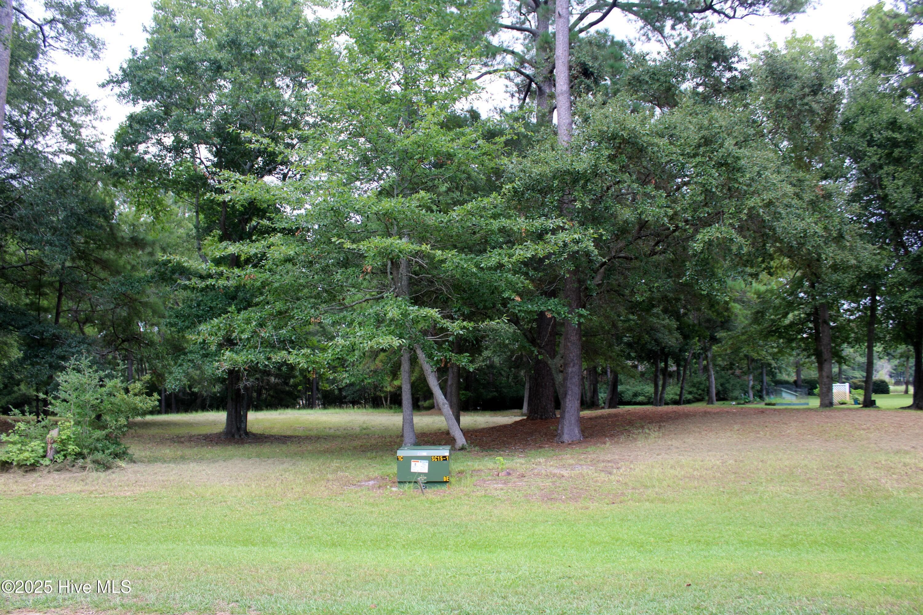Residential Lot at 240 Genoes Point Road SW, Supply, NC 28462, photo 3 of 17