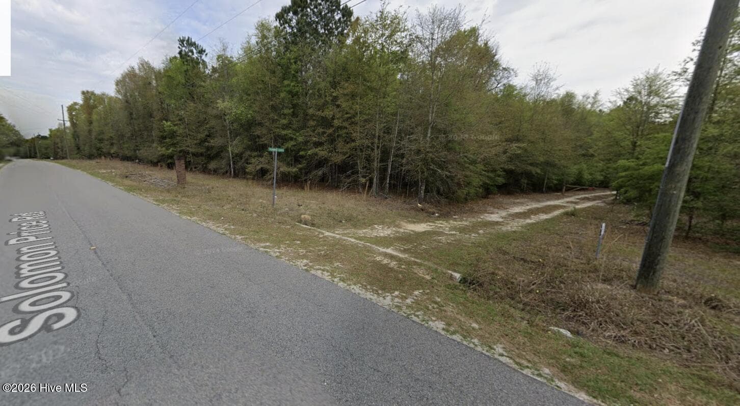 Lt 10 Turning Leaf Ln, Barnwell, SC 29812