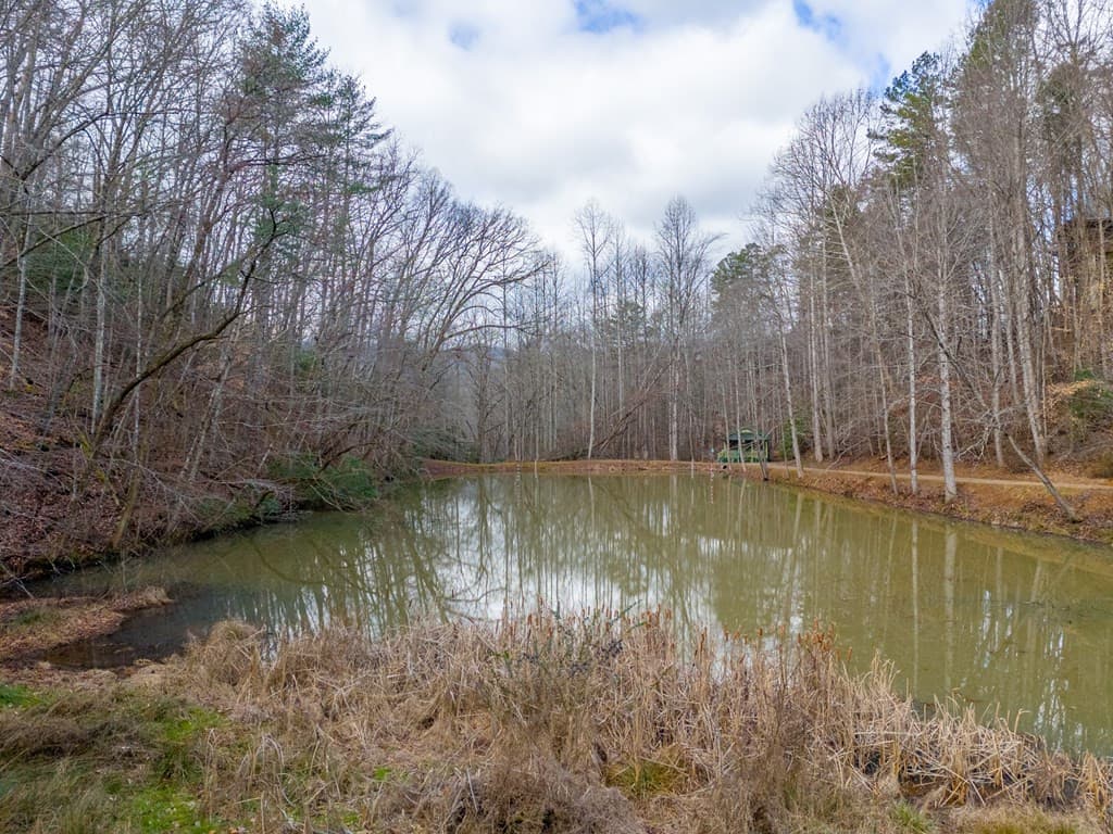 Residential at 180 Valley Lane, Bryson City, NC 28713, Bryson City, photo 75 of 82