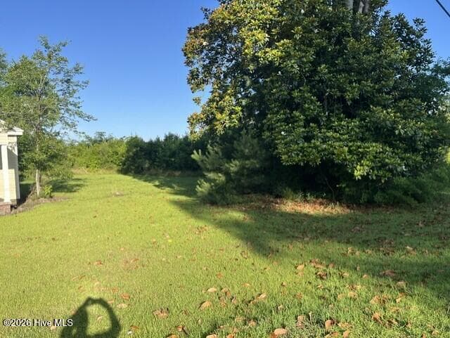 Undeveloped at 5499 Richlands Highway, Jacksonville, NC 28540, photo 7 of 11