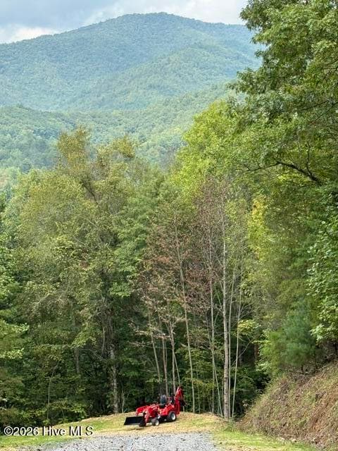 Mixed Use at 8,9 8,9 Downings Creek Road, Hayesville, NC 28904, Hayesville, photo 8 of 13
