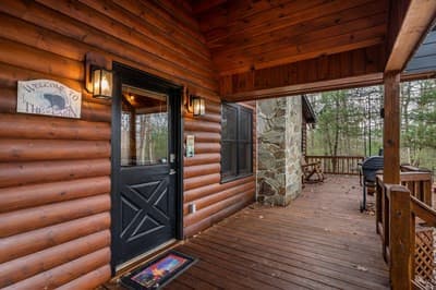 Single Family Residence at 162 Little Falls Drive, Mineral Bluff, GA 30559, photo 4 of 38