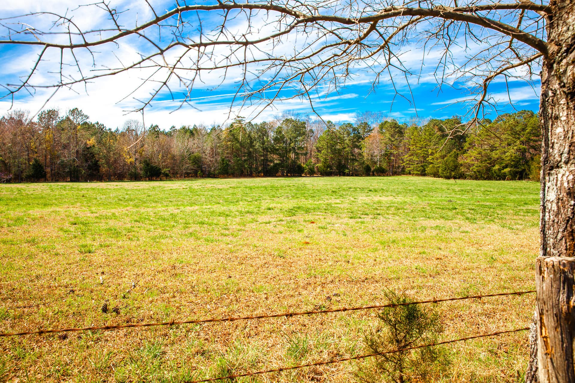 Undeveloped at 3520 3 Mistletoe Rd Road, Appling, GA 30802, photo 11 of 12
