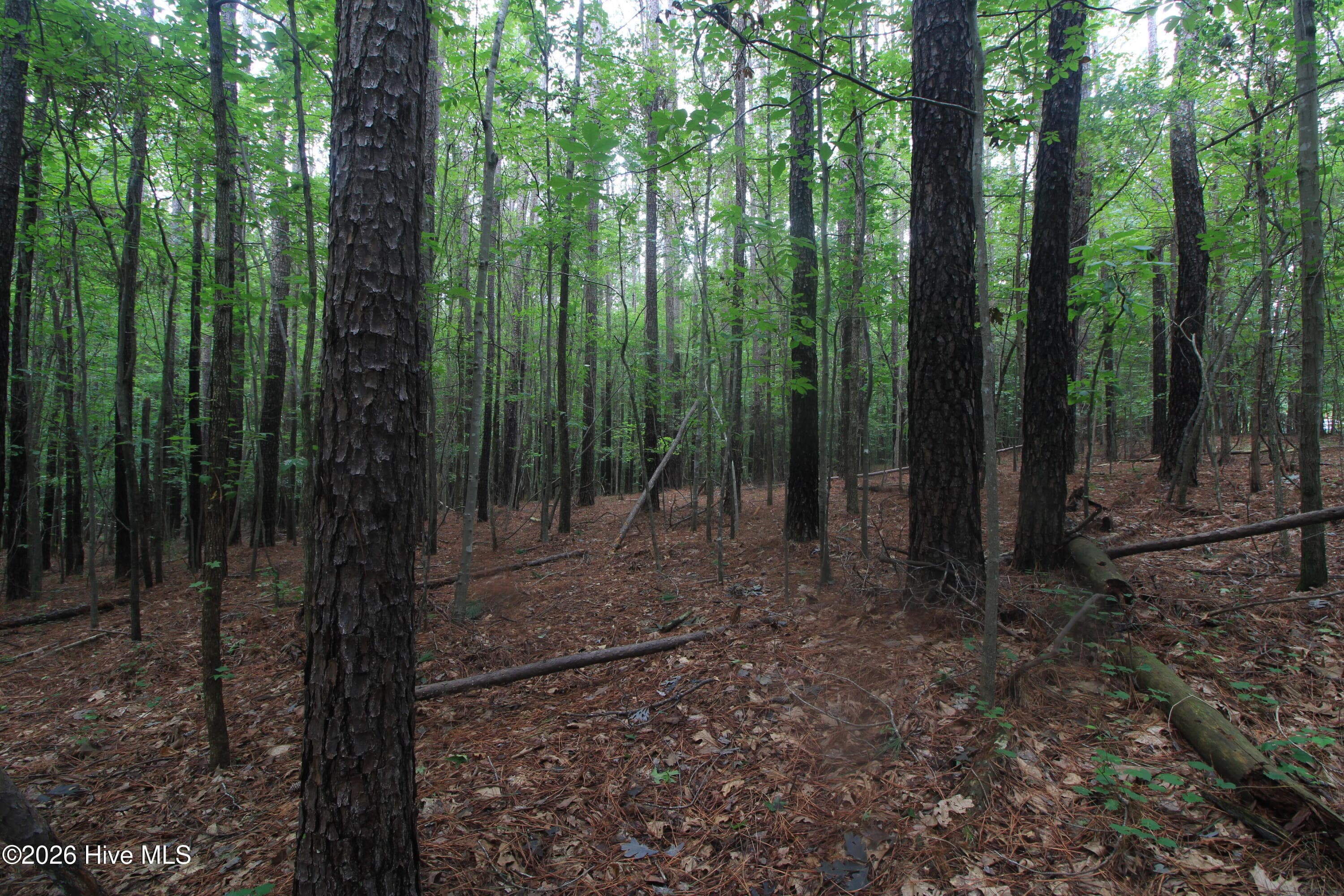 Residential Lot at 0 Crowatan Trail, Carthage, NC 28327, photo 13 of 35