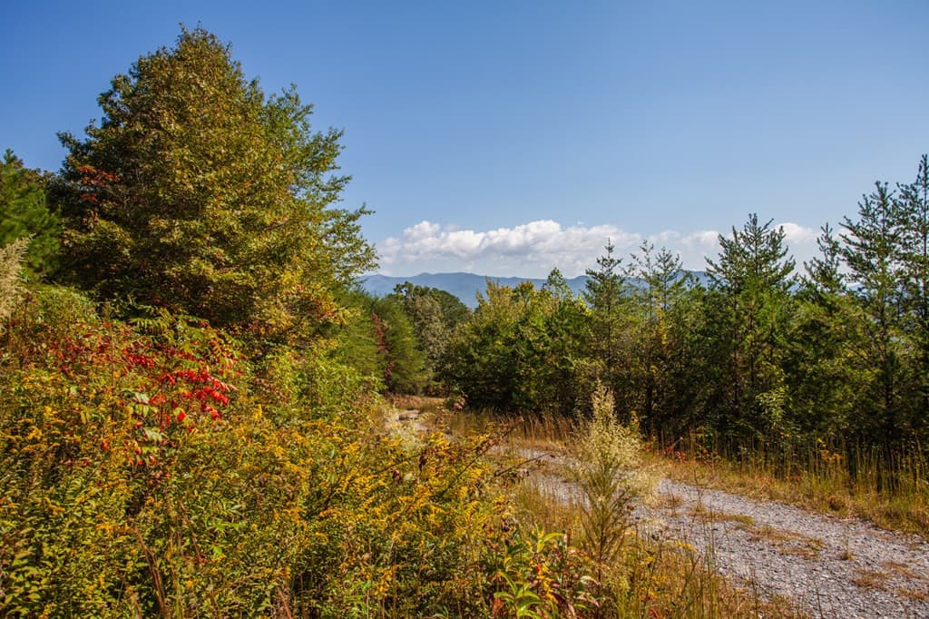 Land at 000 Mistletoe Ridge, Murphy, NC 28906, photo 28 of 31