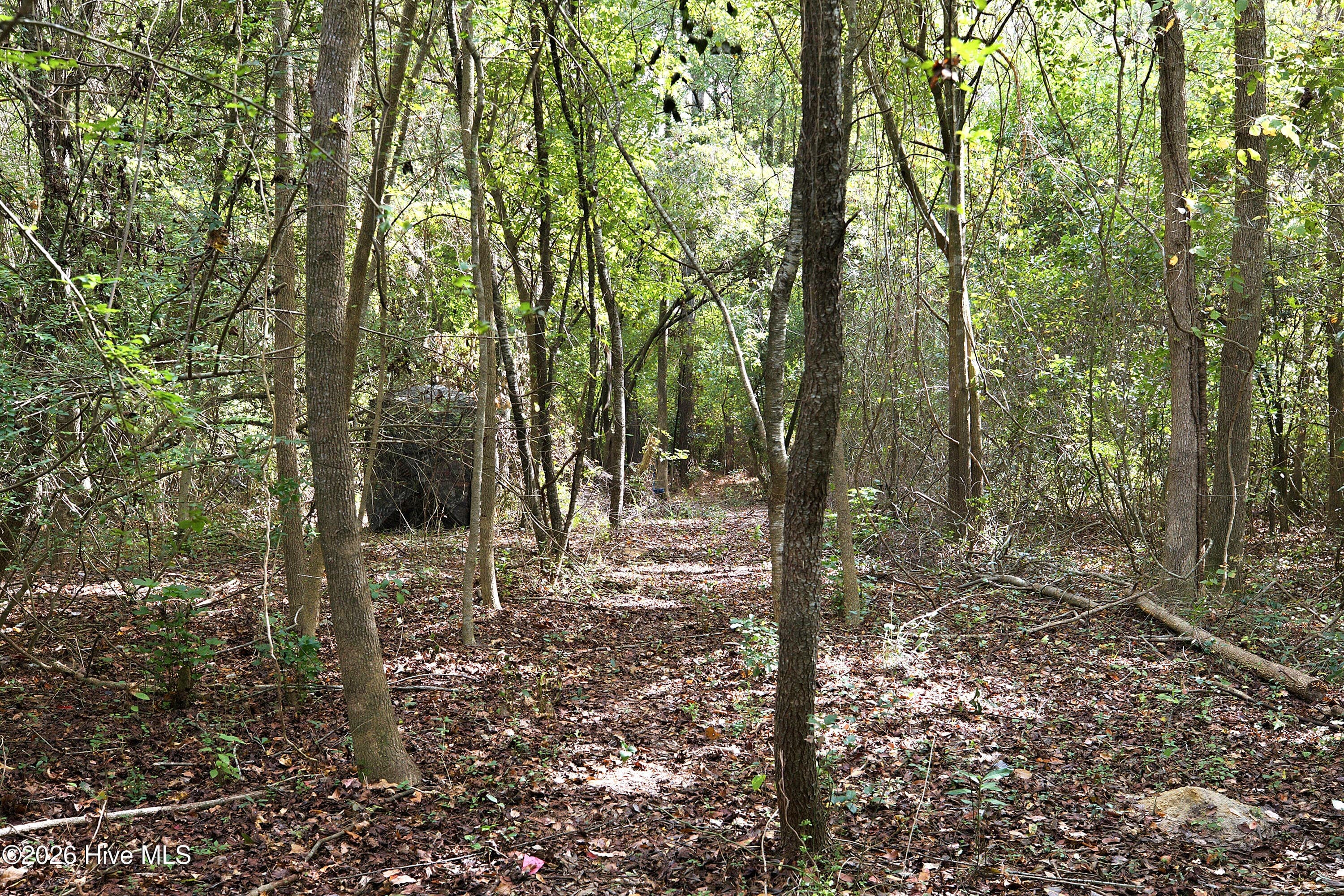 Undeveloped at 255 Old Fountain Road, Richlands, NC 28574, photo 2 of 9