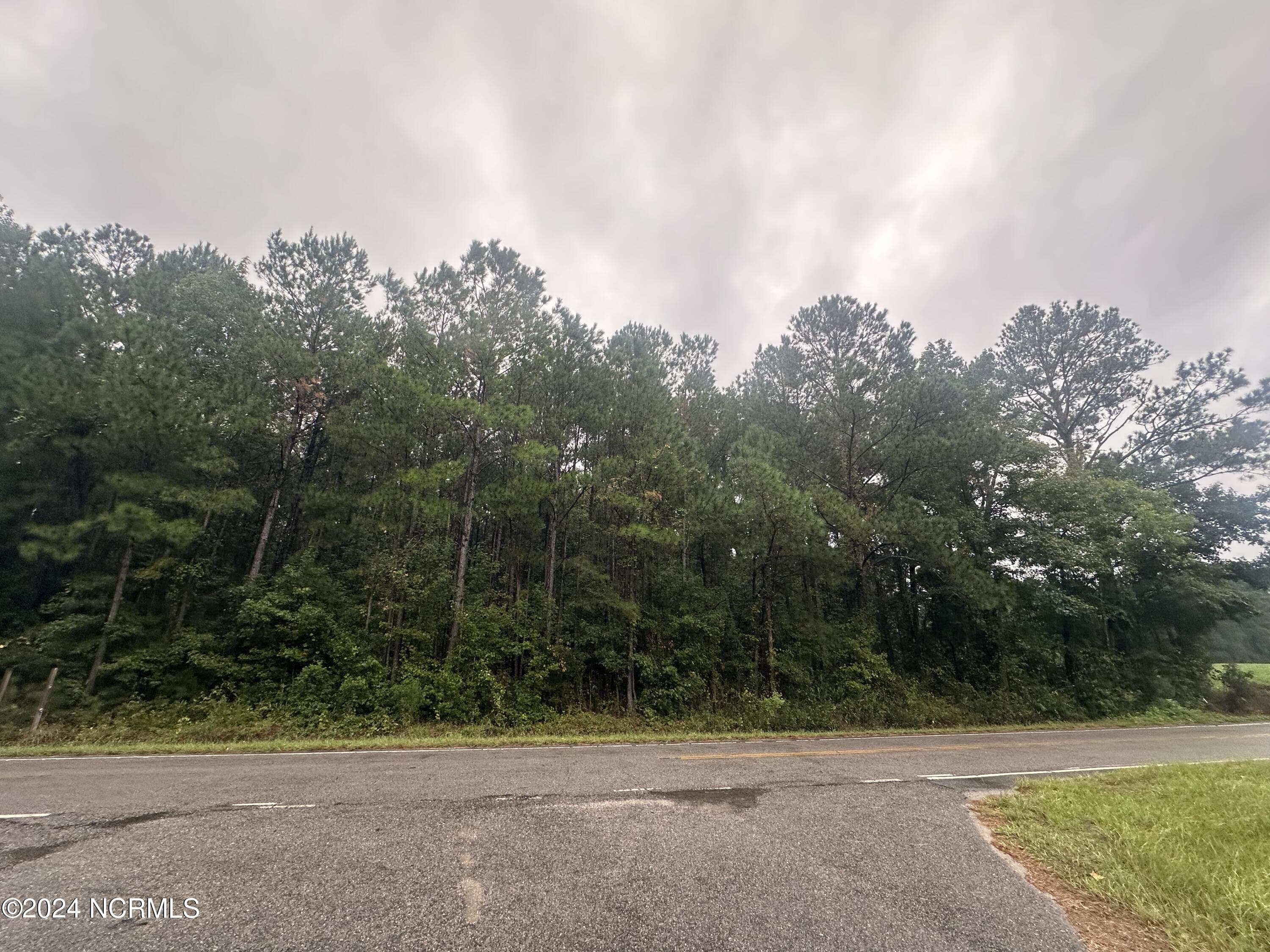 Wooded at Tbd Ash Little River Road NW, Ash, NC 28420, photo 2 of 15