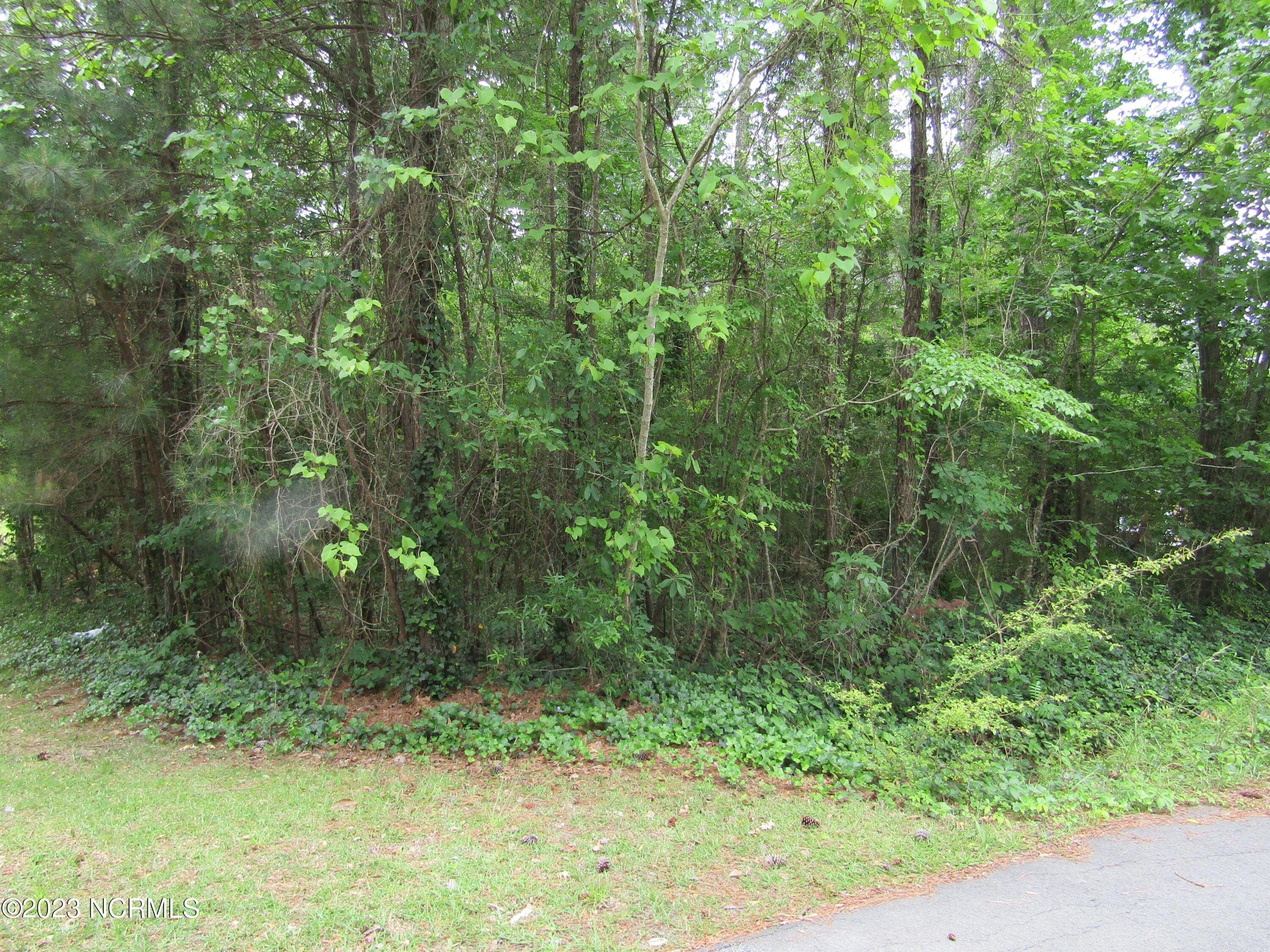 Residential Land at Lot 8 Quail Drive, Plymouth, NC 27962, photo 5 of 14