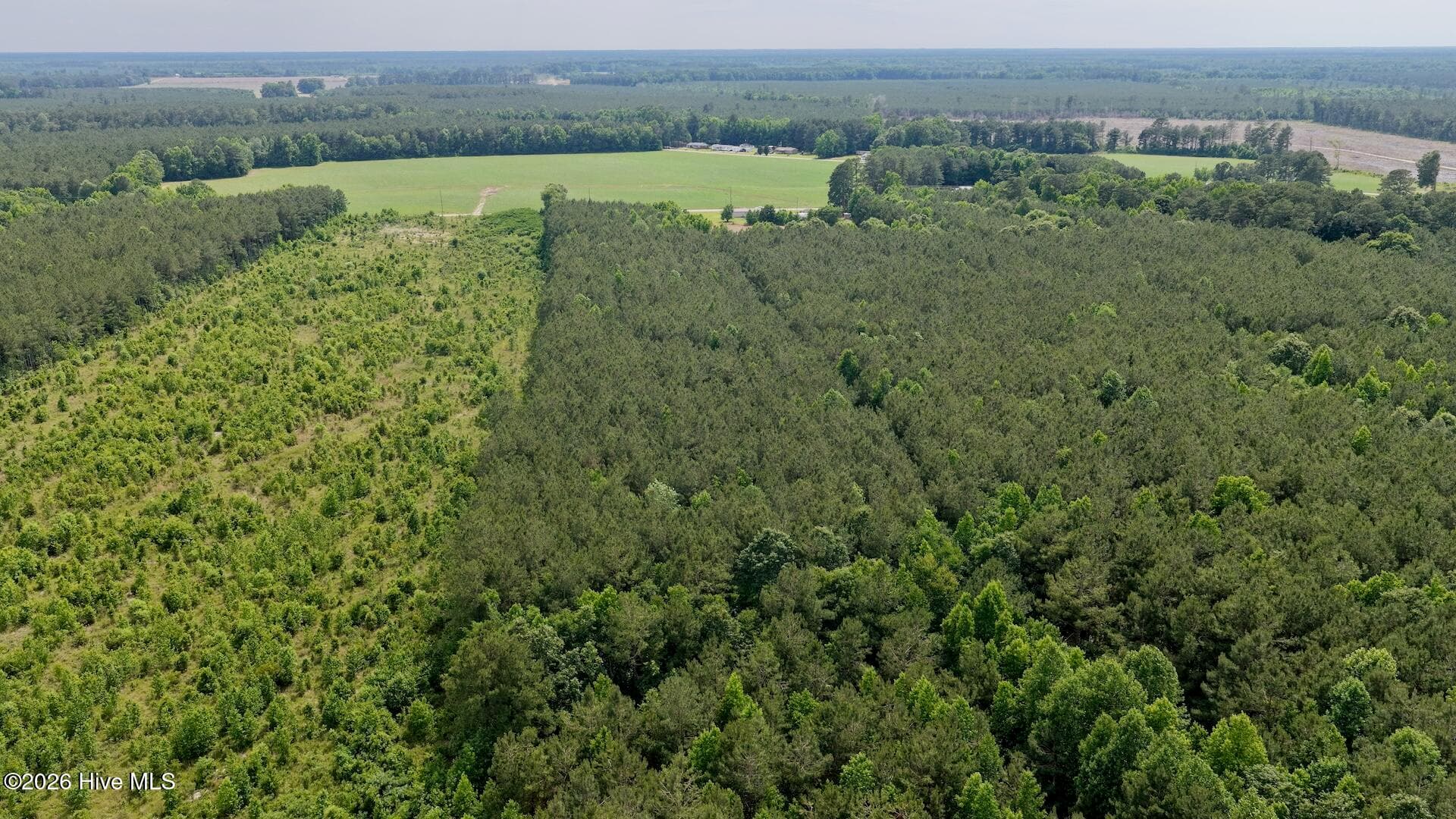Recreation at 0 Off 1040d Republican Road, Windsor, NC 27983, photo 22 of 27