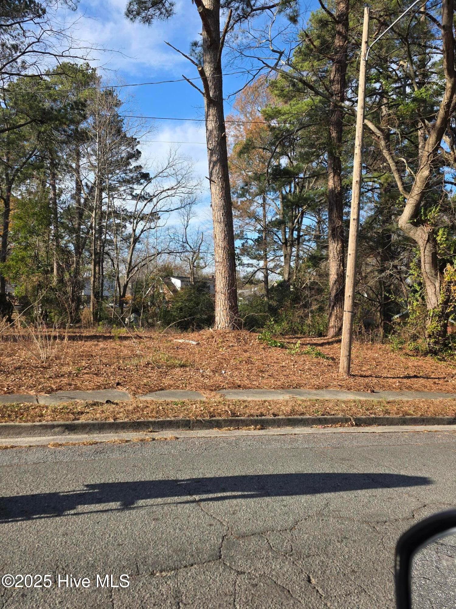 Residential Lot at 404 Summit Avenue, Kinston, NC 28501, photo 2 of 7