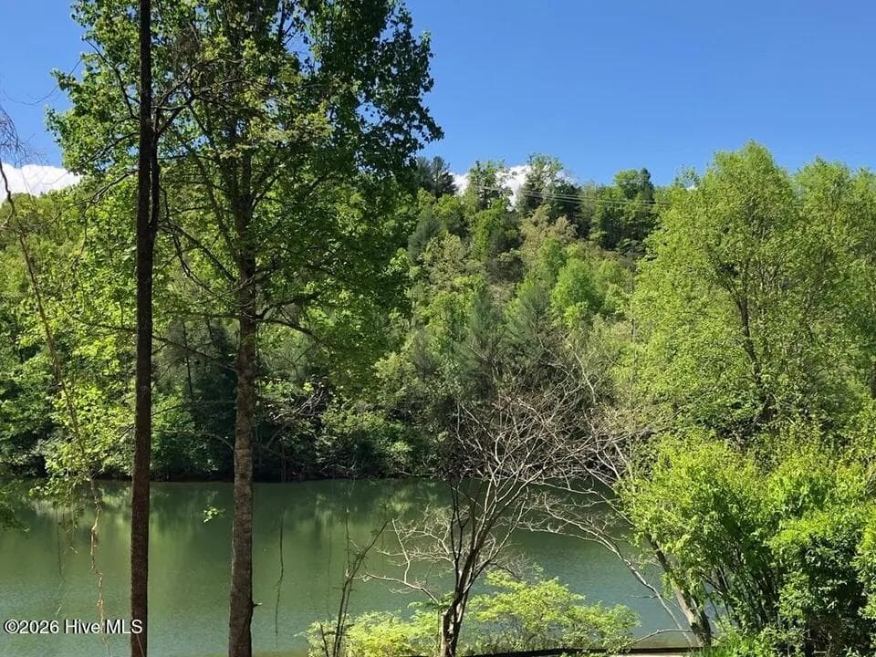 Residential Lot at Lot 7 7 Santeetlah Ridge, Robbinsville, NC 28771, photo 3 of 10