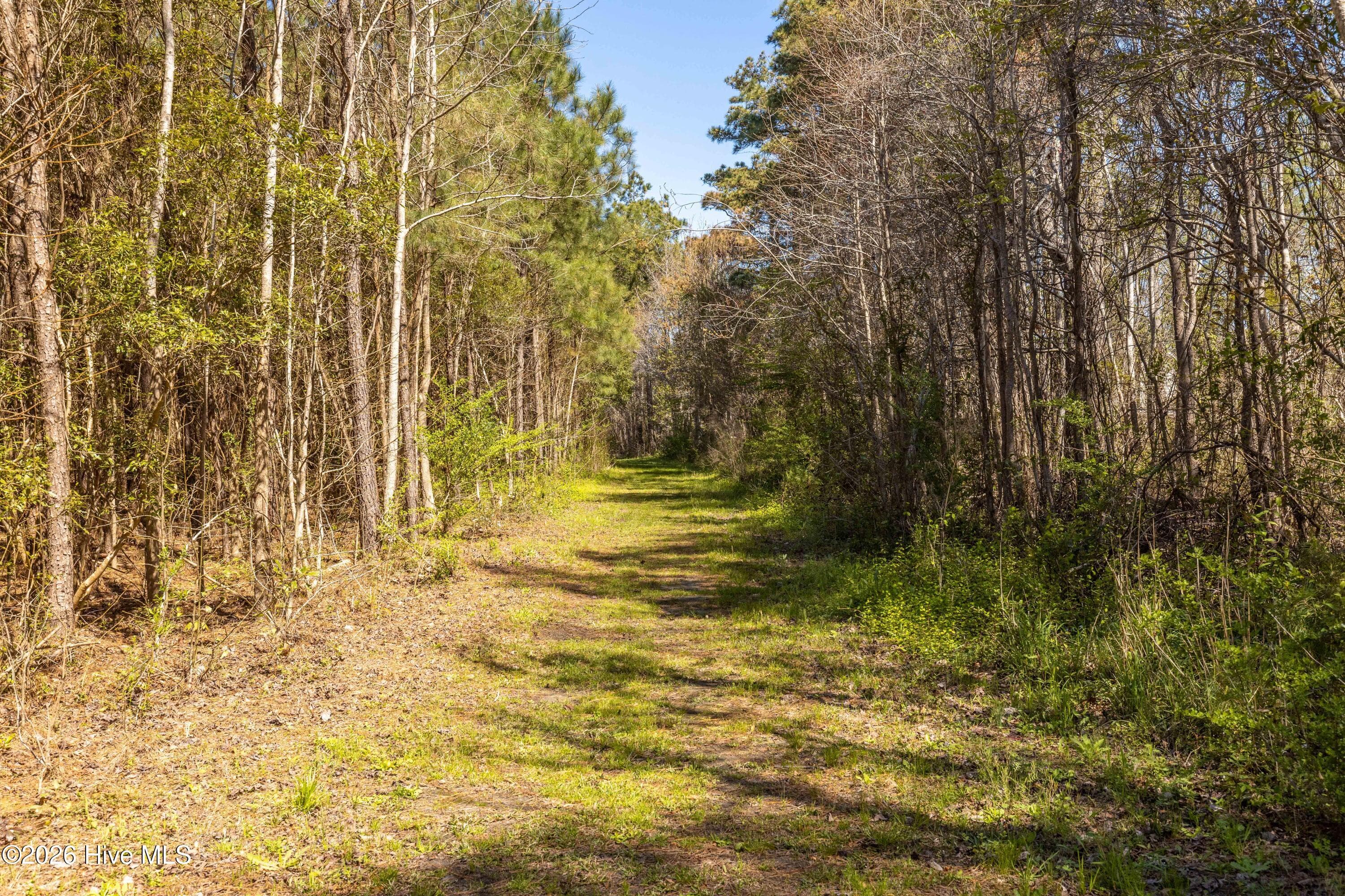 Single Family Residence at 105 Winters Rest Road, Beaufort, NC 28516, photo 15 of 53