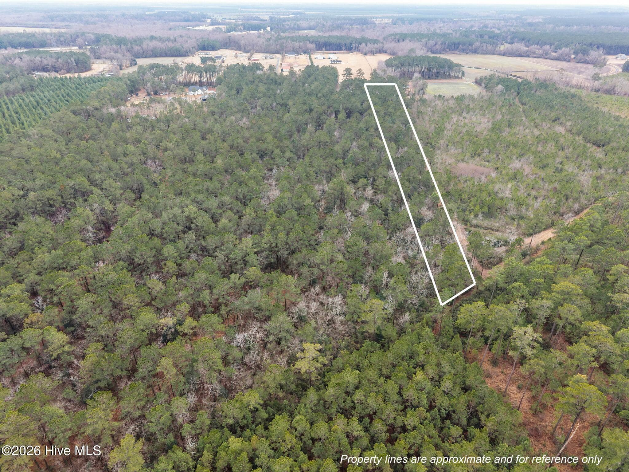 Undeveloped at 1363 n/a Deppe Loop Road, Maysville, NC 28555, photo 8 of 8