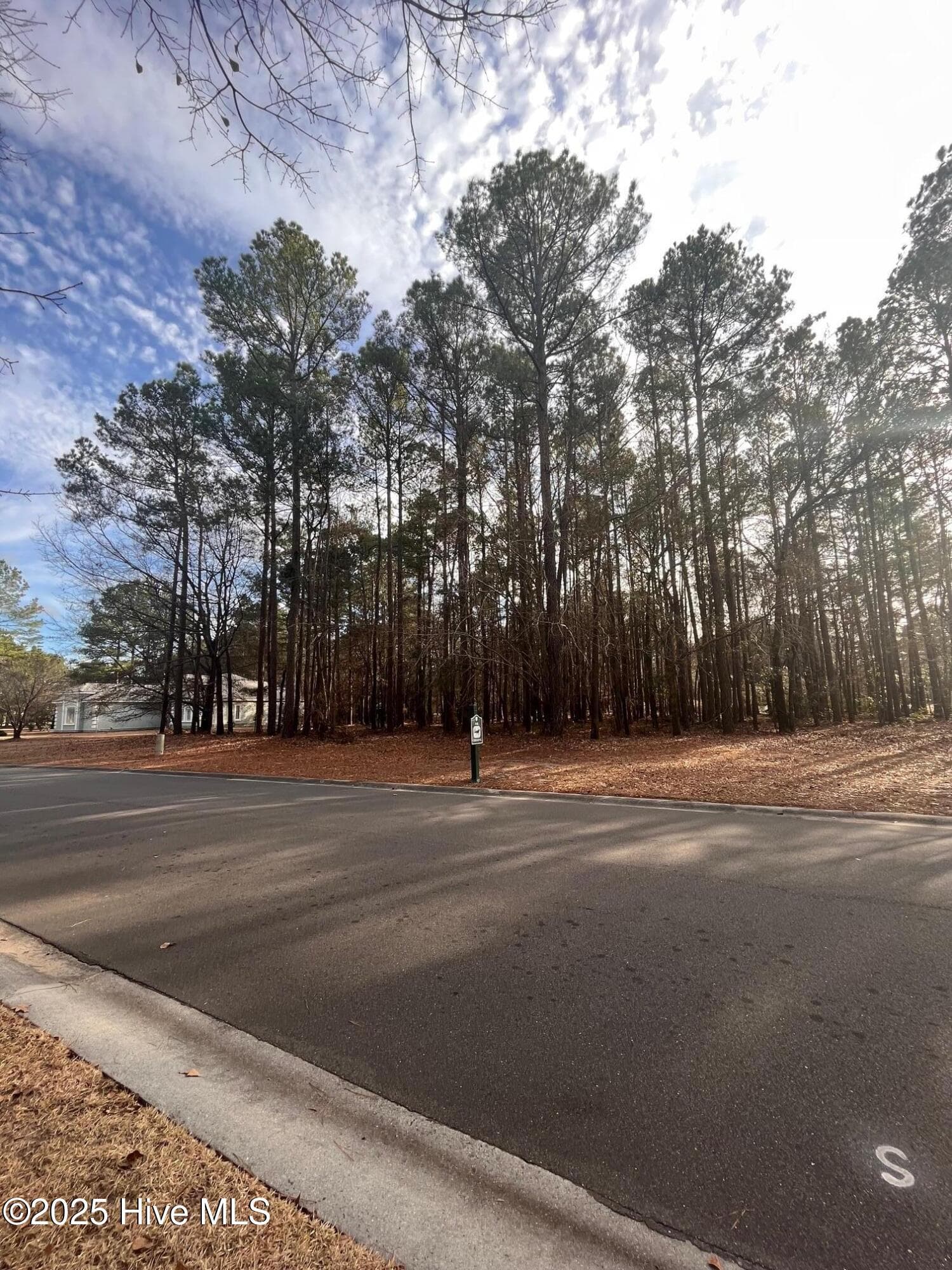 Residential Land at 264 Red Fox Run Drive, Wallace, NC 28466, photo 2 of 6