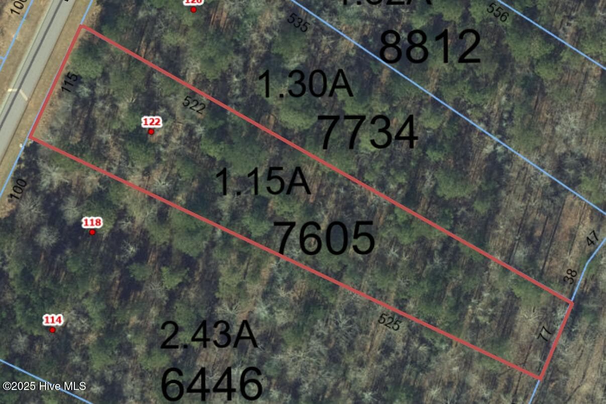 Wooded at 122 49 N State Lane, Rockingham, NC 28379, photo 2 of 7