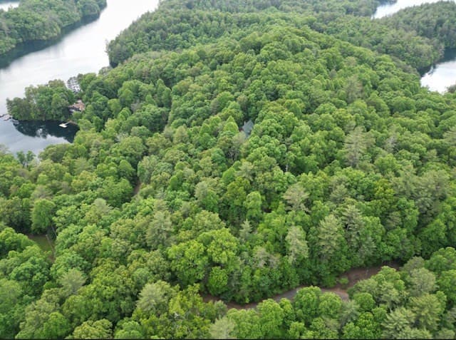 Residential Lot at Lot 13 13 Dogwood Trail, Robbinsville, NC 28771, photo 6 of 6