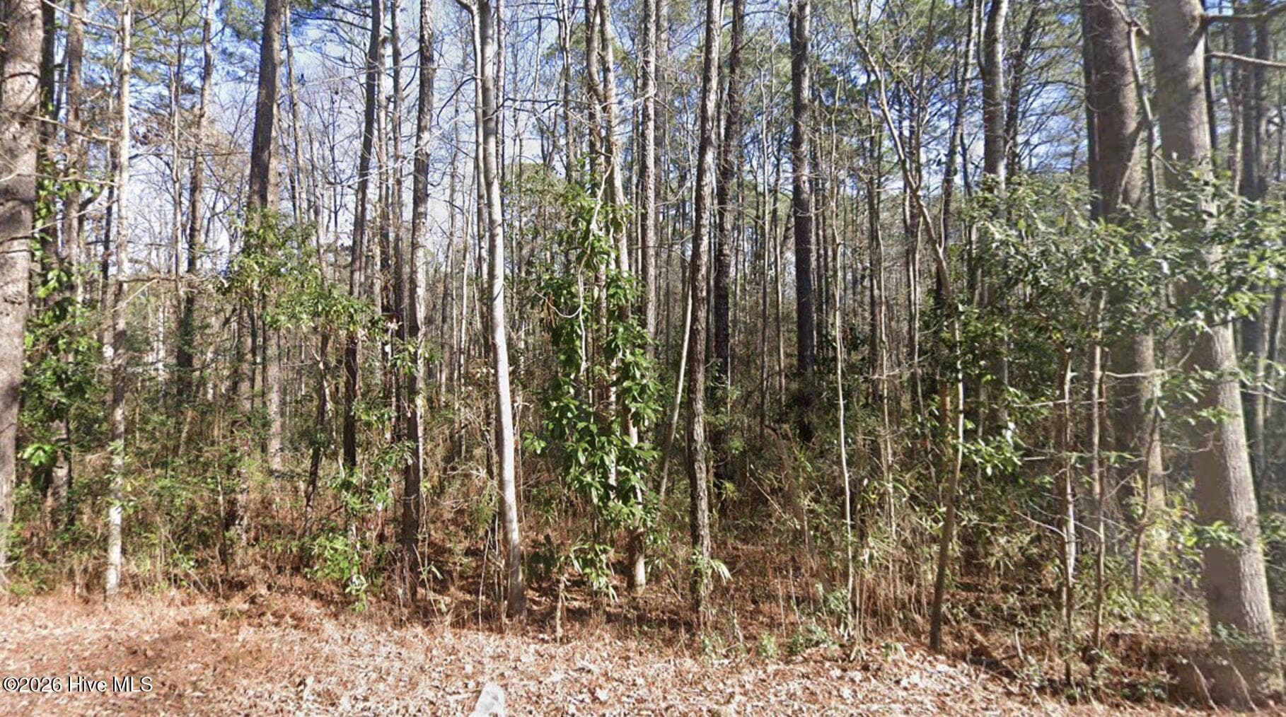 Residential Lot at 1669 10 Rainey Drive, Spring Lake, NC 28390, photo 3 of 7