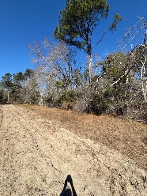 Agriculture at 0 Starfish Lane, Lyons, GA 30436, photo 6 of 8