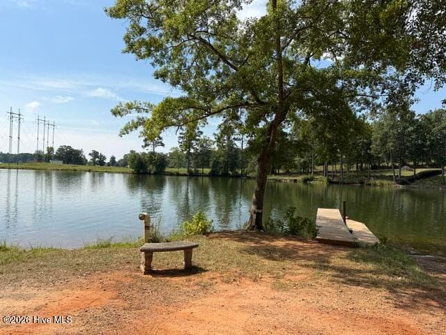 Single Family Residence at 462 Amaryllis Drive, Sparta, GA 31087, photo 33 of 33