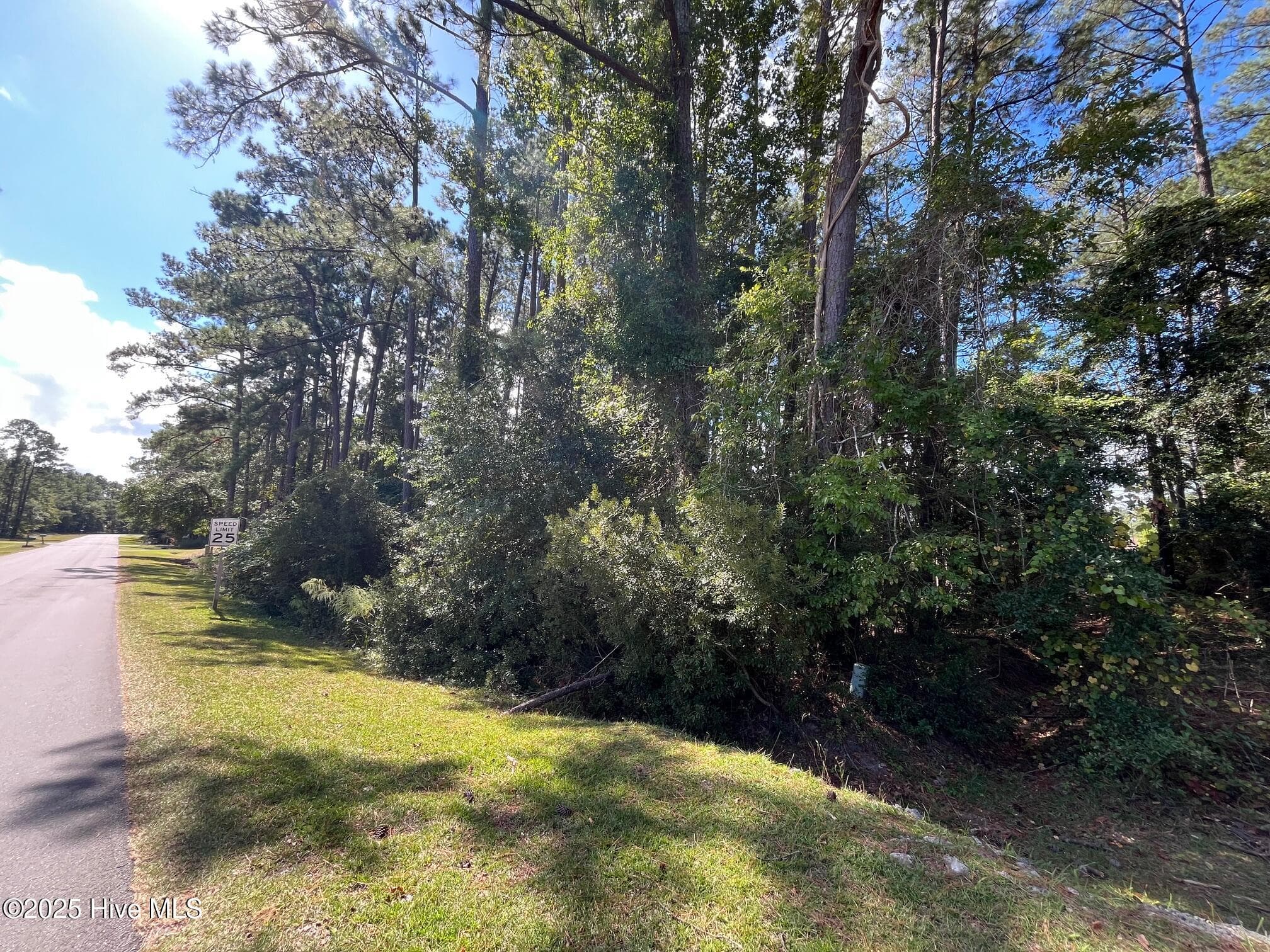Residential Lot at 320 Hardison Drive, Minnesott Beach, NC 28510, photo 7 of 7