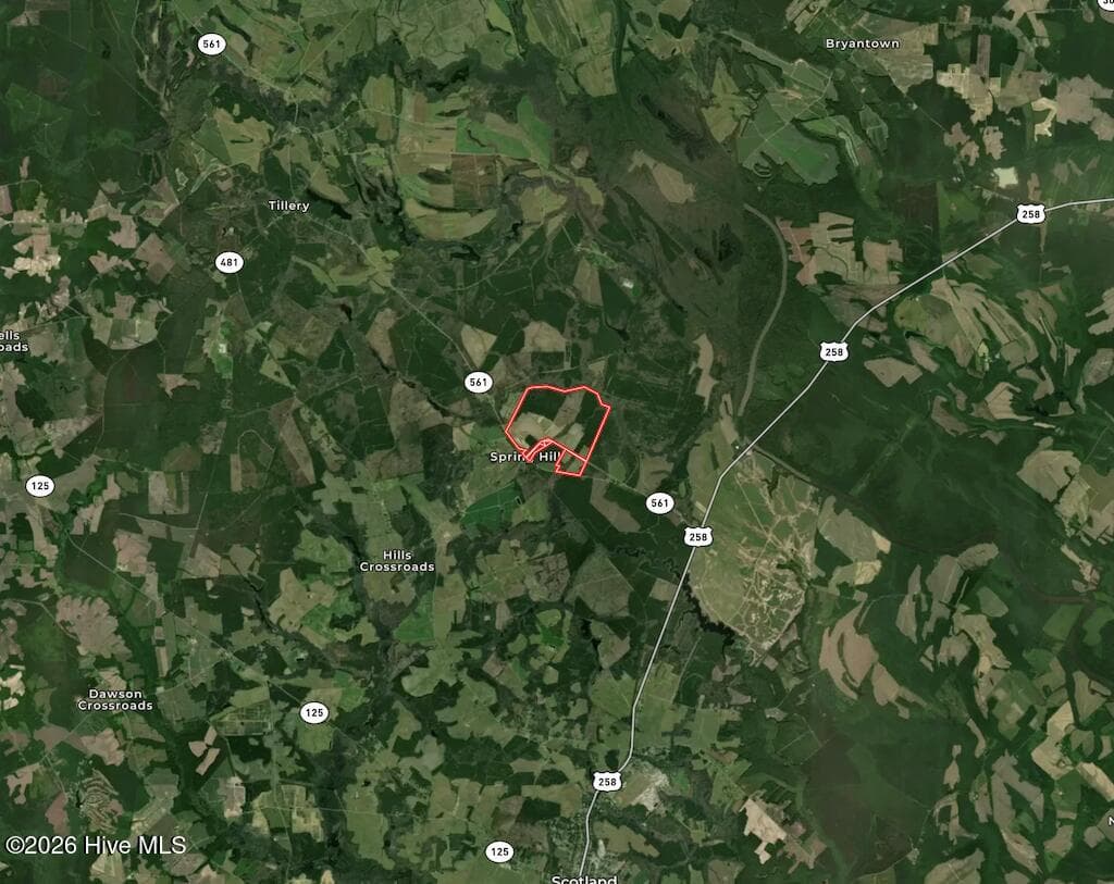 Mixed Use at 0 Spring Hill Road, Scotland Neck, NC 27874, photo 90 of 93