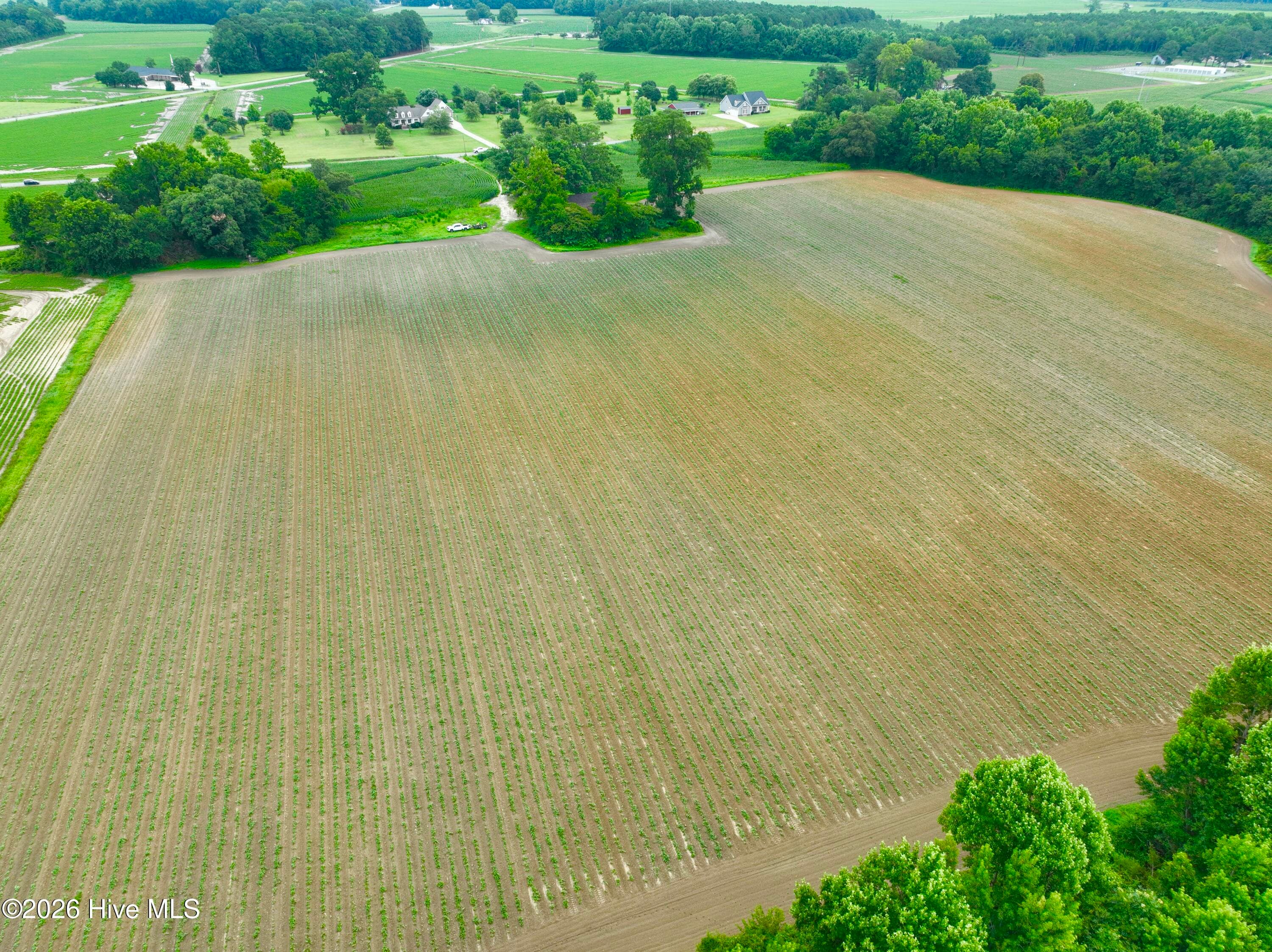 Farm at 478 Davis Mill Road, Fremont, NC 27830, photo 14 of 21
