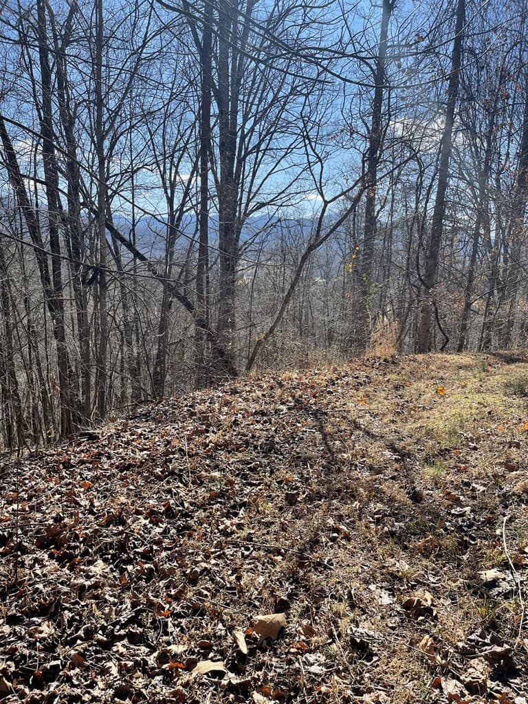 Residential Lot at Lot 37c 37C Ash Branch Circle, Hayesville, NC 28904, Hayesville, photo 2 of 6