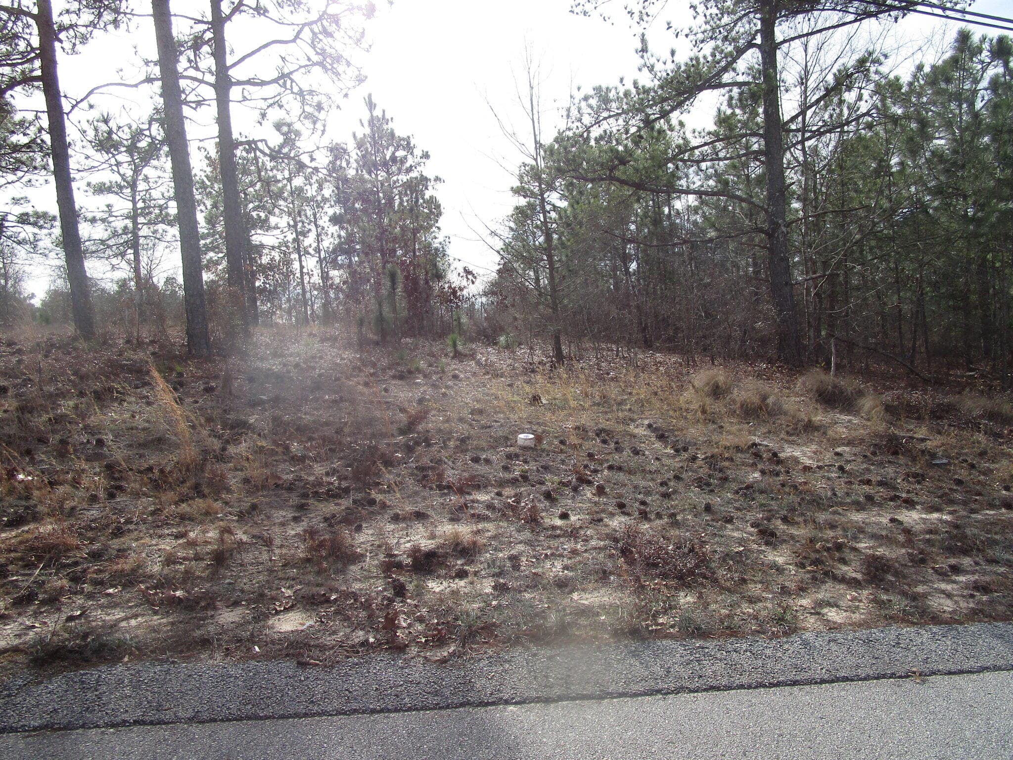 3024 Thornhill Drive, Hephzibah, GA 30815