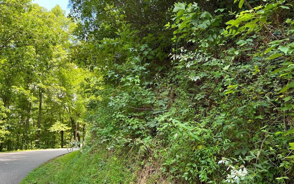 Land at Lot 77 77 Fires Creek Cove, Hayesville, NC 28904, Hayesville, photo 16 of 19