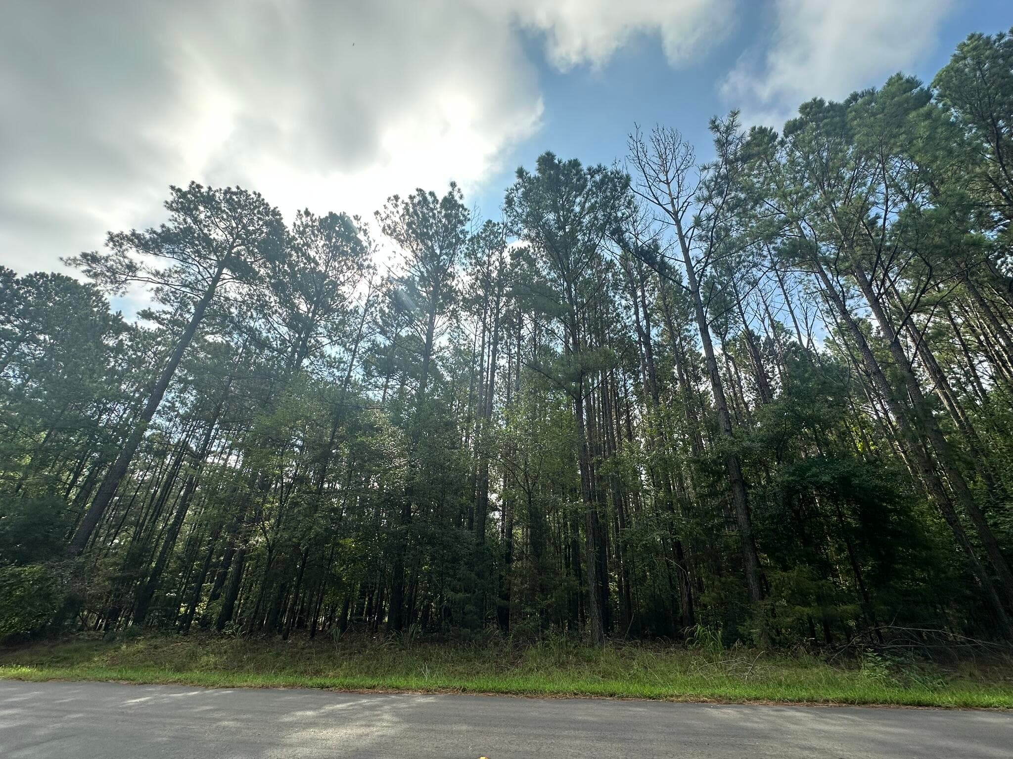 Lot 1 1 Dogwood Lane, Parksville, SC 29845