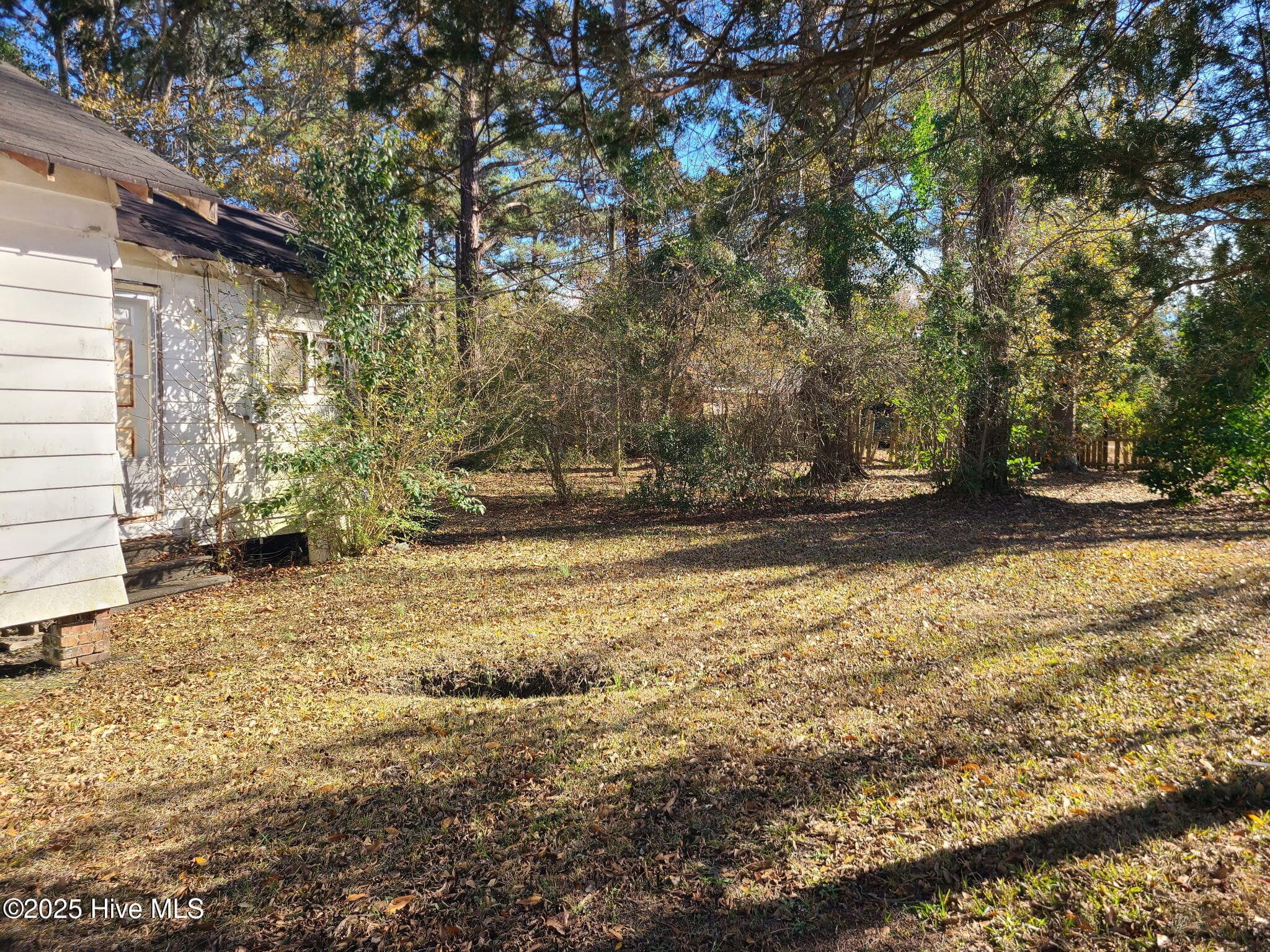 Single Family Residence at 313 W Williams Street, Burgaw, NC 28425, photo 5 of 6