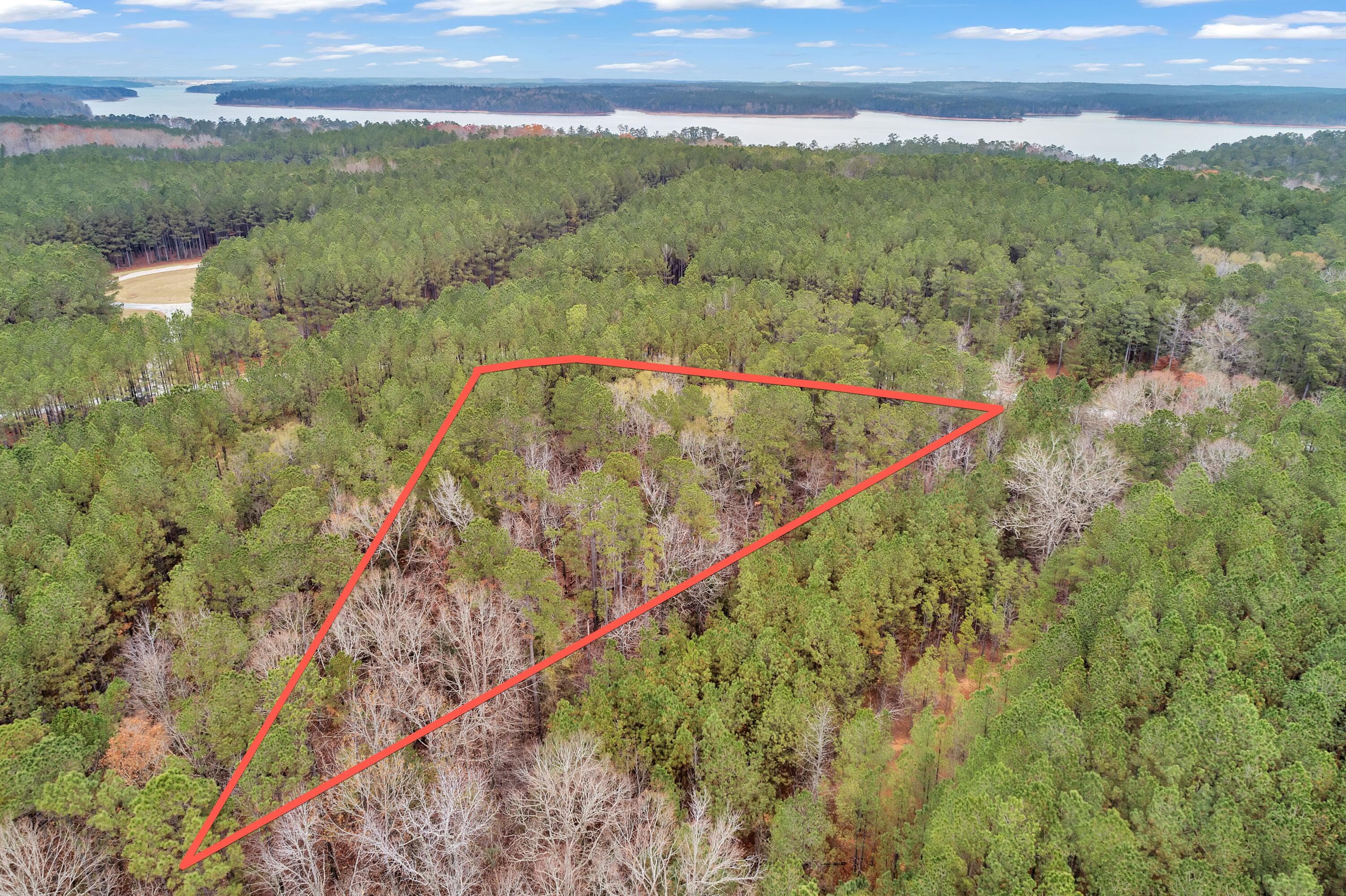 Residential Lot at 1252 294 Rogers Road, Tignall, GA 30668, photo 14 of 29