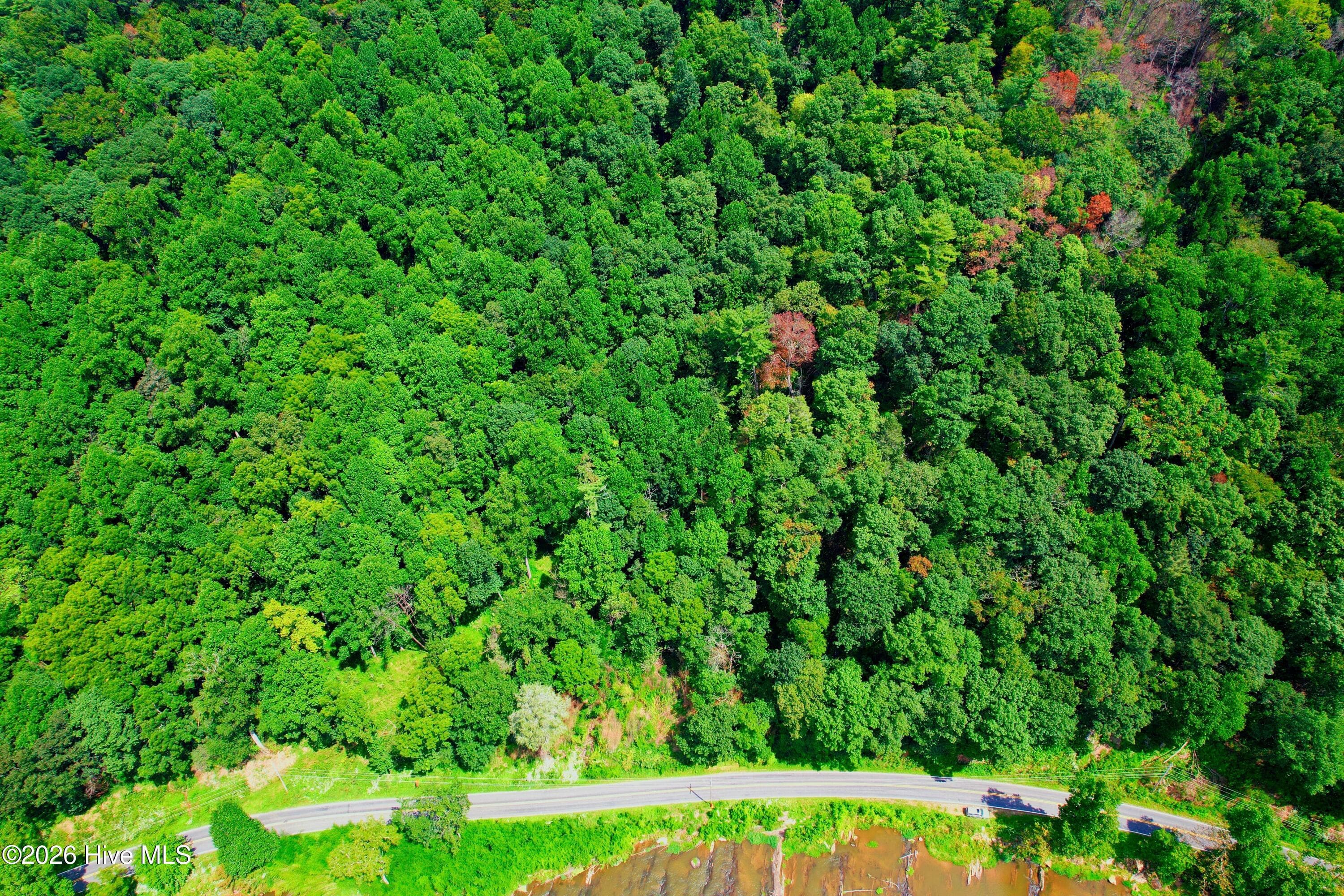 Undeveloped at 2872 Panther Creek Road, Clyde, NC 28721, photo 14 of 82