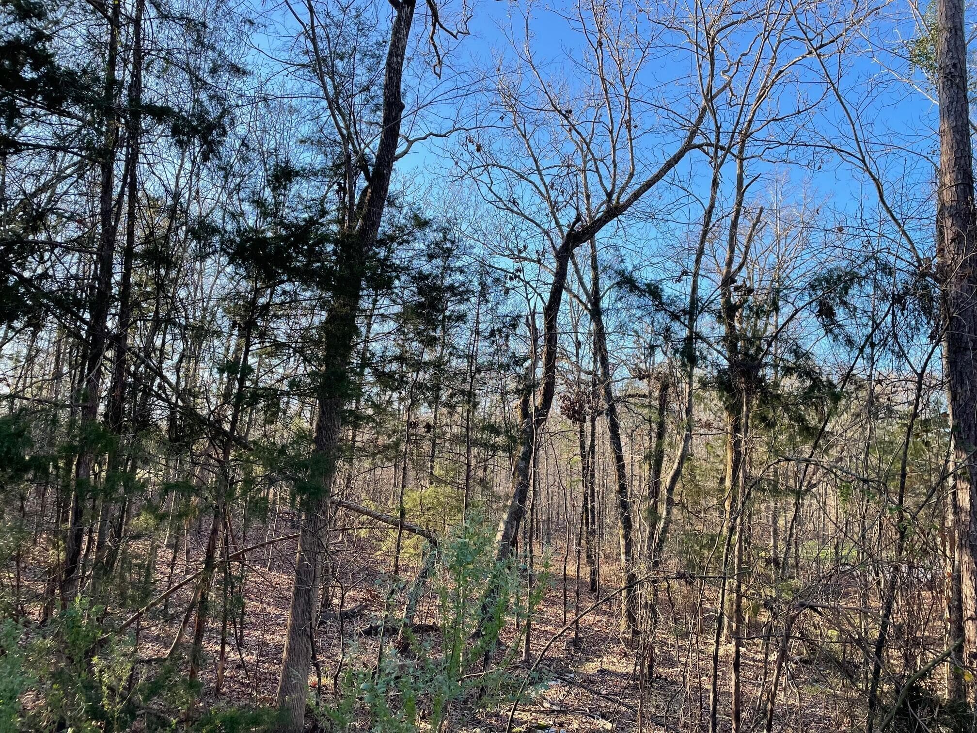 Residential Lot at Lot 22 Plantation Point, Lincolnton, GA 30817, photo 4 of 9