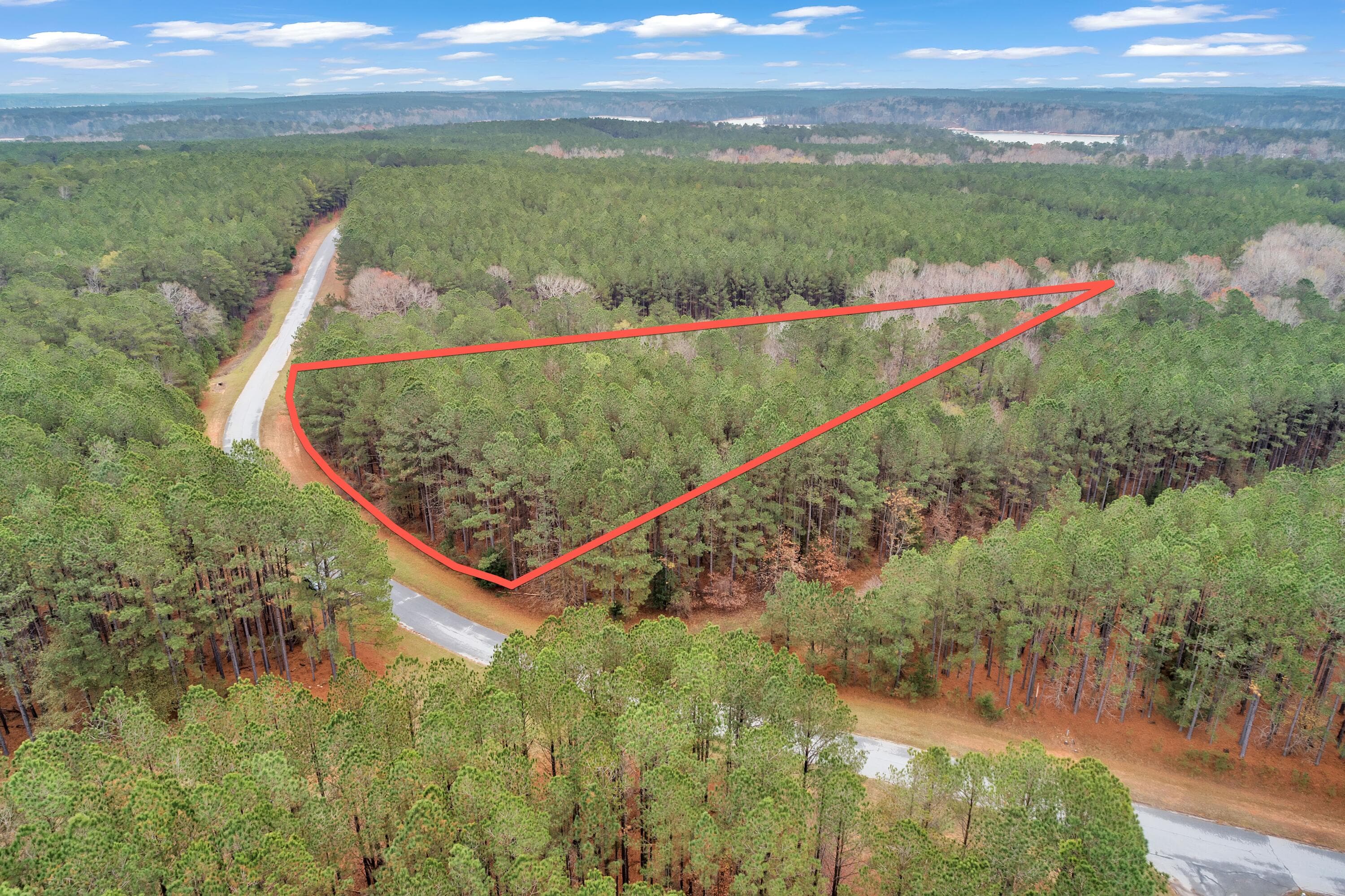 Residential Lot at 1252 294 Rogers Road, Tignall, GA 30668, photo 17 of 29