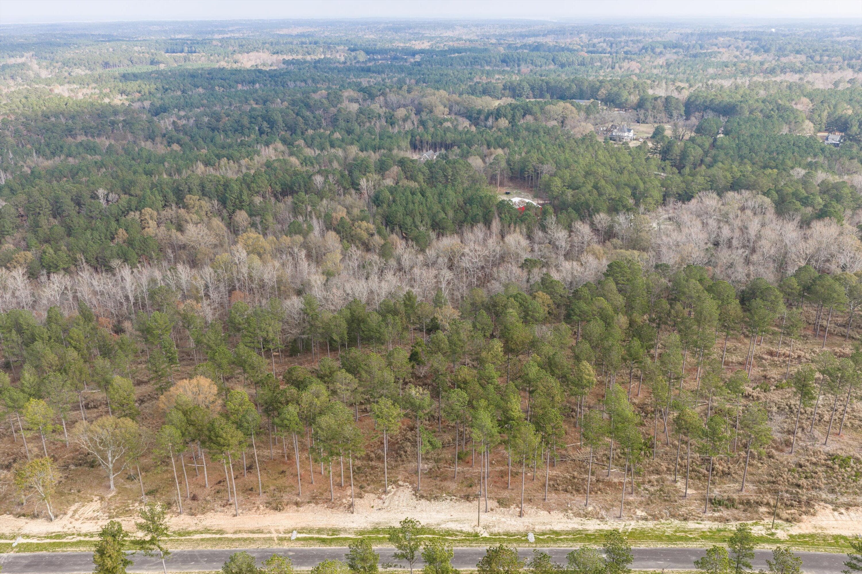 Residential Lot at 159 Beagle Chase Drive, Appling, GA 30802, photo 5 of 7