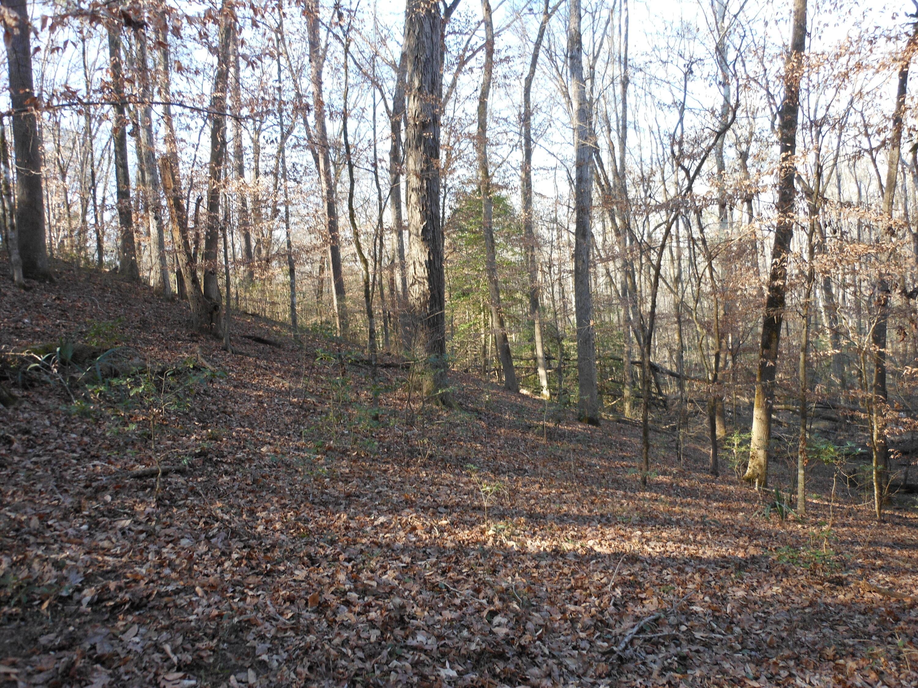 Undeveloped at 0 Ponderosa Road, Waynesboro, GA 30830, photo 35 of 45