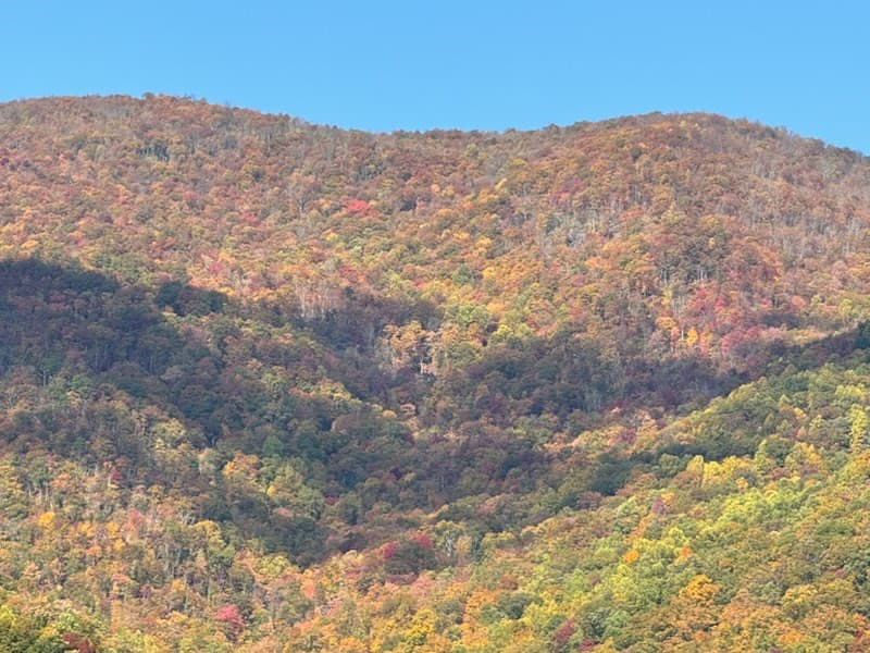 Undeveloped at 10617 Highway 64 E, Hayesville, NC 28904, Hayesville, photo 3 of 5