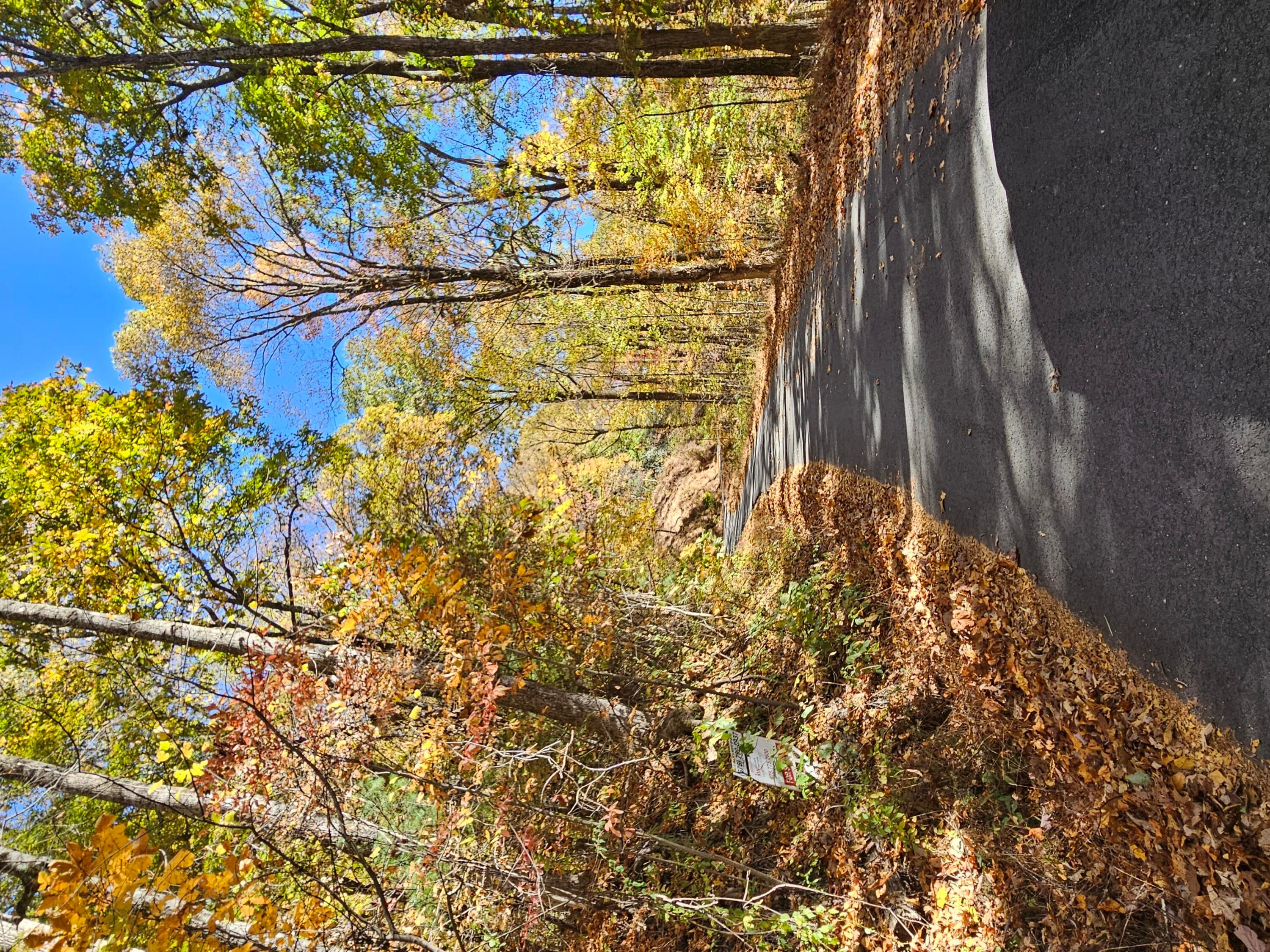 Undeveloped at 0 Confederate Drive, Clayton, GA 30525, photo 12 of 30