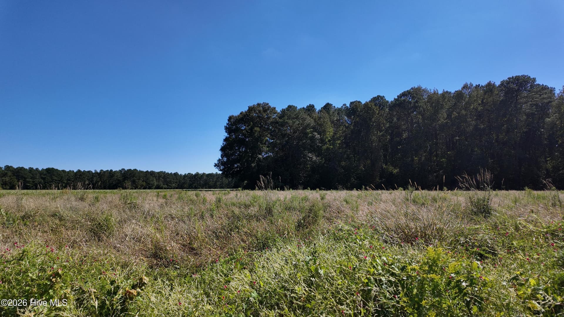 2 Rivenbark Road, Wallace, NC 28466