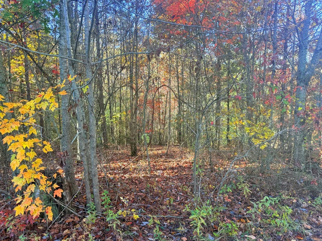 Land at Lot 25 Hideaway Ridge Drive, Murphy, NC 28906, photo 4 of 4